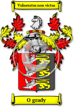 O grady Family Crest Download (jpg) Legacy Series - 150 DPI